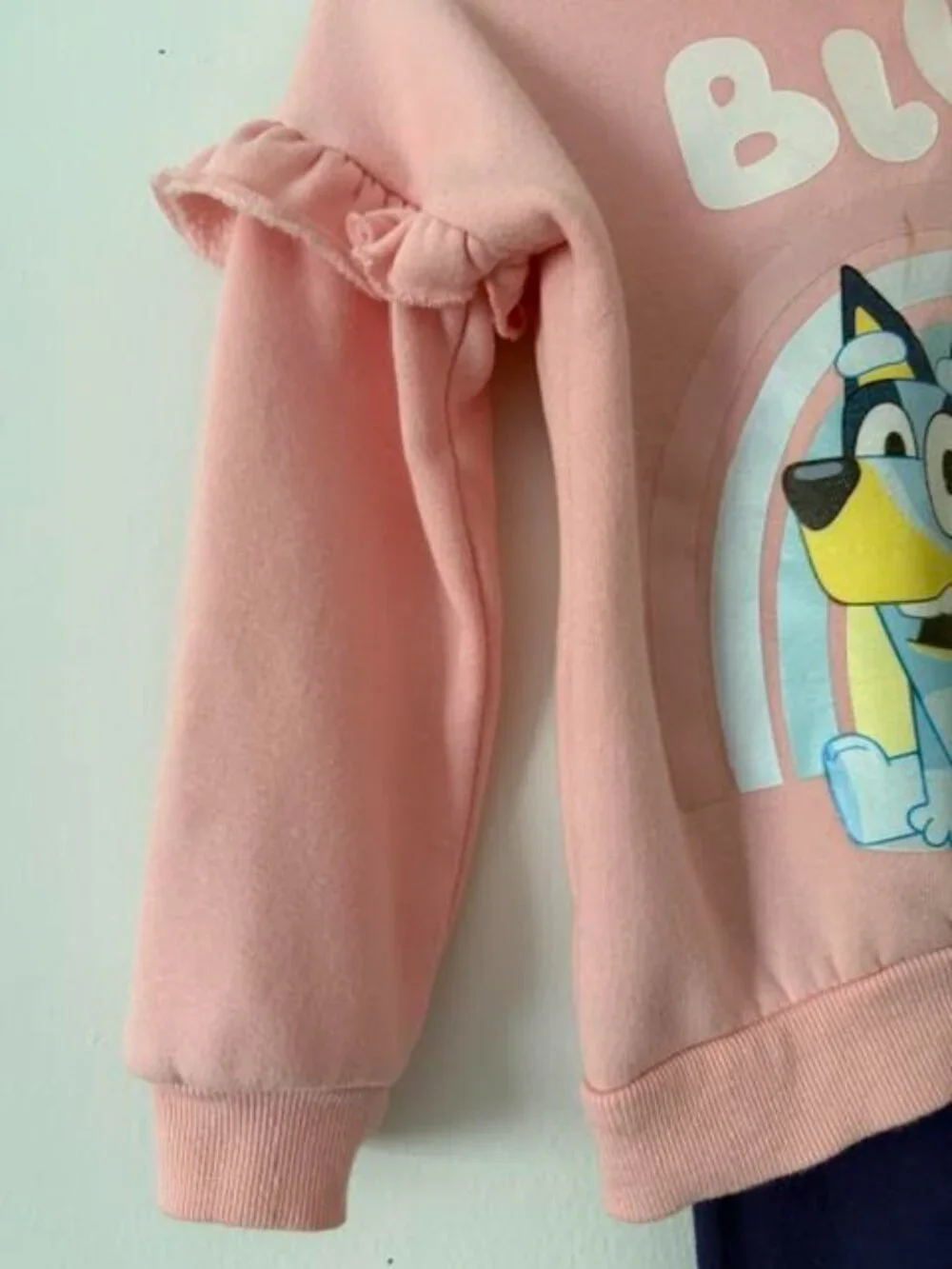 Bluey Bingo Girls 5T Fleece Hoodie & Leggings Set Pink/Purple